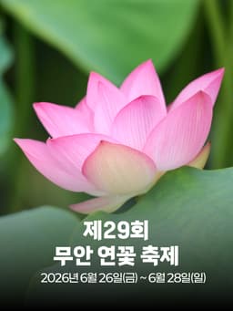 제29회 무안 연꽃 축제