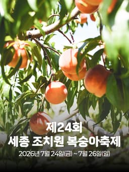 제24회 세종 조치원 복숭아축제